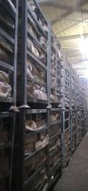 ۳۱۰ تن مرغ منجمد احتکار شده در مهاباد کشف شد