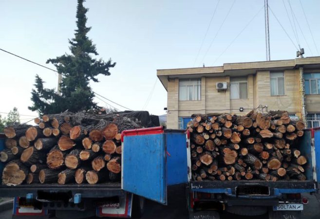 ۵۸ تن چوب قاچاق در مهاباد کشف و ضبط شد
