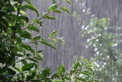 زمان شروع بارش‌های پاییزی در جنوب استان اعلام شد