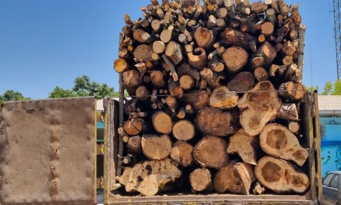 کشف محموله ۹ تنی چوب قاچاق در مهاباد