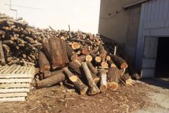 بیش از ٢ تن چوب قاچاق در مهاباد کشف شد