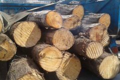 توقف یک محموله چوب جنگلی در بوکان